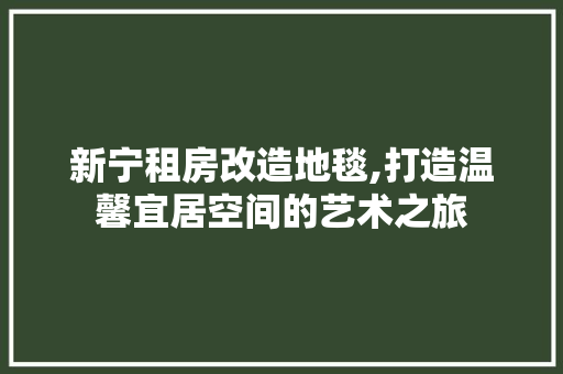 新宁租房改造地毯,打造温馨宜居空间的艺术之旅