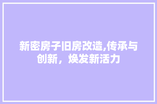 新密房子旧房改造,传承与创新，焕发新活力