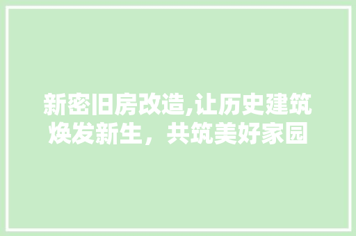 新密旧房改造,让历史建筑焕发新生，共筑美好家园