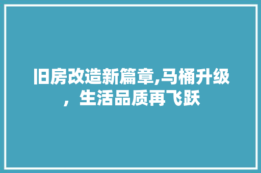 旧房改造新篇章,马桶升级，生活品质再飞跃