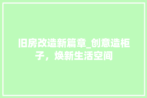 旧房改造新篇章_创意造柜子，焕新生活空间