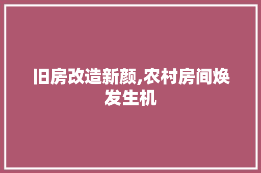 旧房改造新颜,农村房间焕发生机