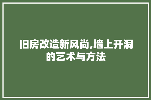 旧房改造新风尚,墙上开洞的艺术与方法