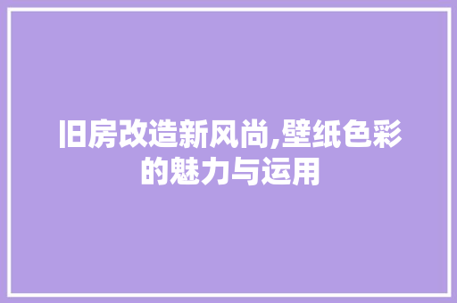 旧房改造新风尚,壁纸色彩的魅力与运用