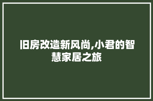 旧房改造新风尚,小君的智慧家居之旅