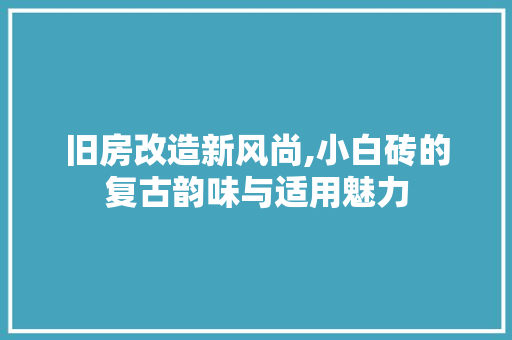 旧房改造新风尚,小白砖的复古韵味与适用魅力