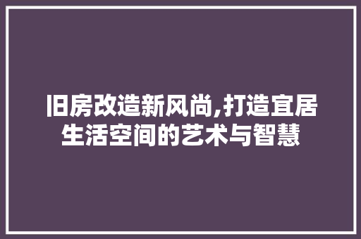 旧房改造新风尚,打造宜居生活空间的艺术与智慧 厨房维修