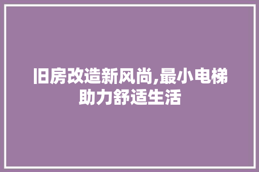 旧房改造新风尚,最小电梯助力舒适生活