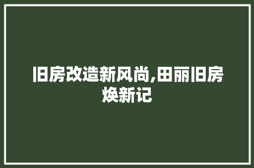 旧房改造新风尚,田丽旧房焕新记