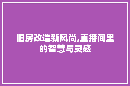 旧房改造新风尚,直播间里的智慧与灵感