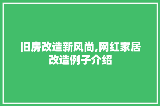 旧房改造新风尚,网红家居改造例子介绍