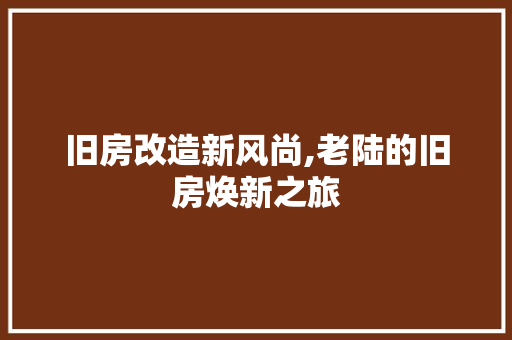 旧房改造新风尚,老陆的旧房焕新之旅