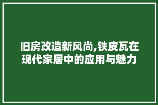 旧房改造新风尚,铁皮瓦在现代家居中的应用与魅力