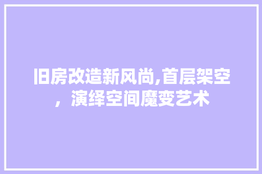 旧房改造新风尚,首层架空，演绎空间魔变艺术