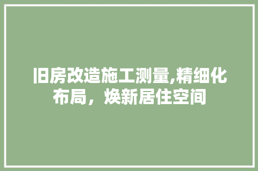 旧房改造施工测量,精细化布局，焕新居住空间