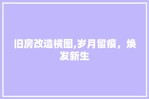 旧房改造横图,岁月留痕，焕发新生