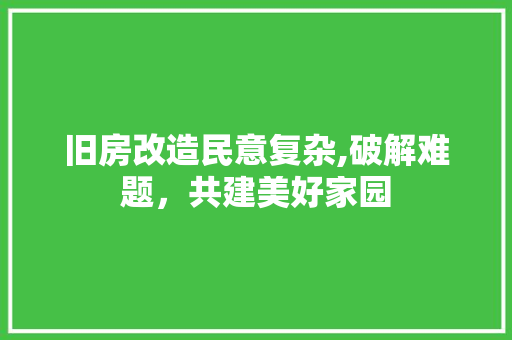 旧房改造民意复杂,破解难题，共建美好家园