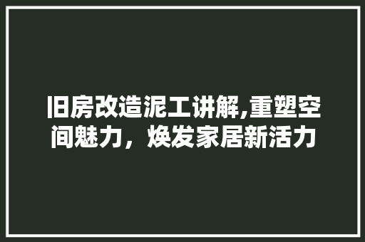 旧房改造泥工讲解,重塑空间魅力，焕发家居新活力