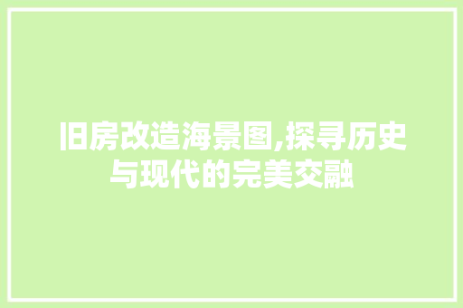 旧房改造海景图,探寻历史与现代的完美交融 居家维修
