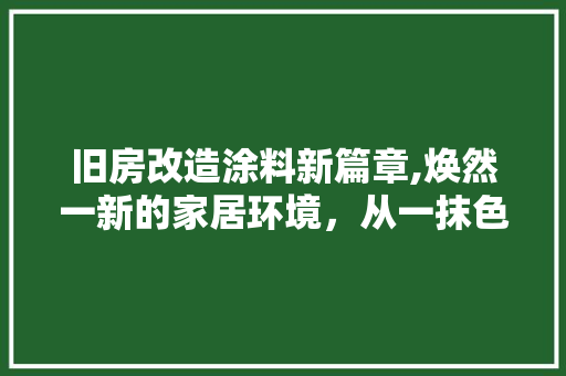 旧房改造涂料新篇章,焕然一新的家居环境，从一抹色彩开始