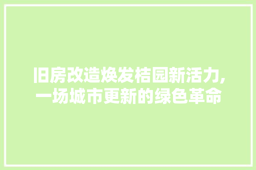 旧房改造焕发桔园新活力,一场城市更新的绿色革命