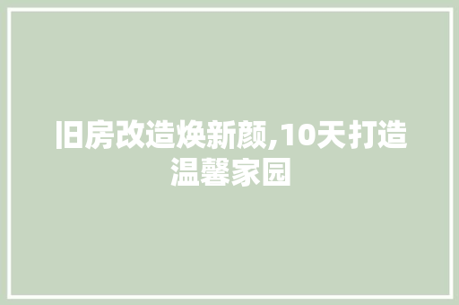 旧房改造焕新颜,10天打造温馨家园