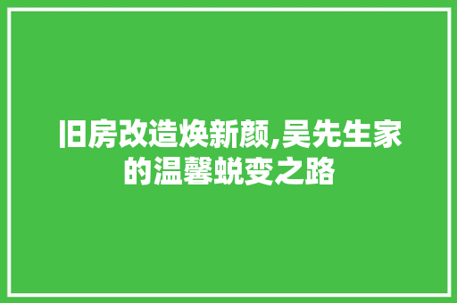 旧房改造焕新颜,吴先生家的温馨蜕变之路