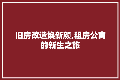 旧房改造焕新颜,租房公寓的新生之旅