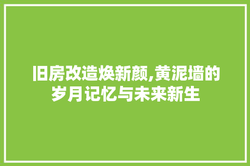 旧房改造焕新颜,黄泥墙的岁月记忆与未来新生