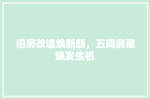 旧房改造焕新颜，五间房屋焕发生机
