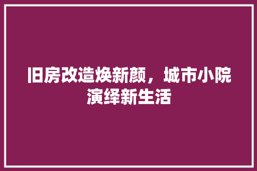 旧房改造焕新颜，城市小院演绎新生活