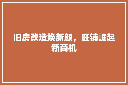 旧房改造焕新颜，旺铺崛起新商机