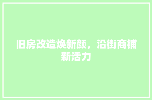 旧房改造焕新颜，沿街商铺新活力 户内维修