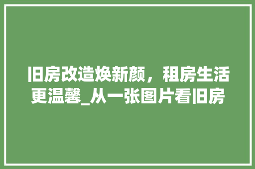 旧房改造焕新颜，租房生活更温馨_从一张图片看旧房改造的巧妙设计