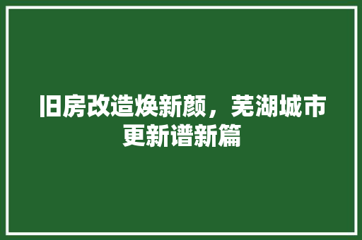 旧房改造焕新颜，芜湖城市更新谱新篇