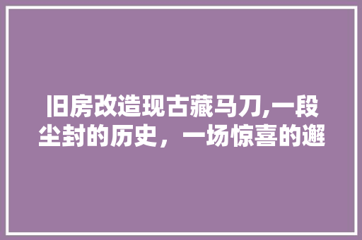 旧房改造现古藏马刀,一段尘封的历史，一场惊喜的邂逅
