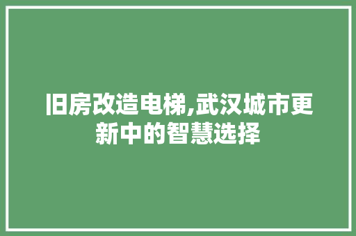 旧房改造电梯,武汉城市更新中的智慧选择