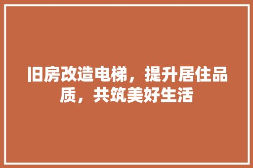 旧房改造电梯，提升居住品质，共筑美好生活