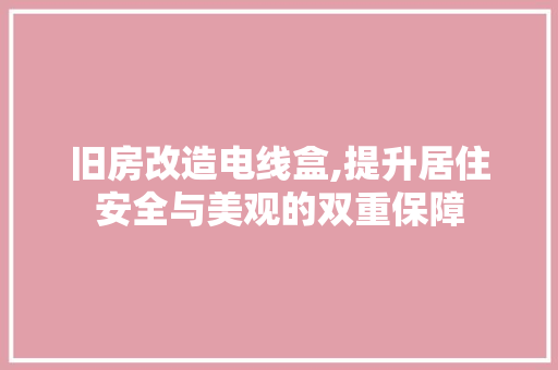 旧房改造电线盒,提升居住安全与美观的双重保障 家电维修
