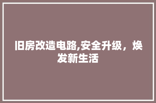 旧房改造电路,安全升级，焕发新生活 居家维修