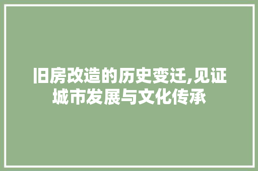 旧房改造的历史变迁,见证城市发展与文化传承 户内维修