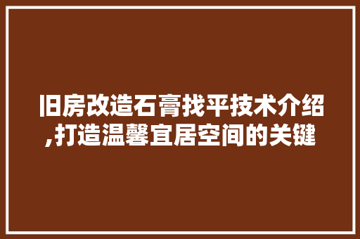 旧房改造石膏找平技术介绍,打造温馨宜居空间的关键步骤