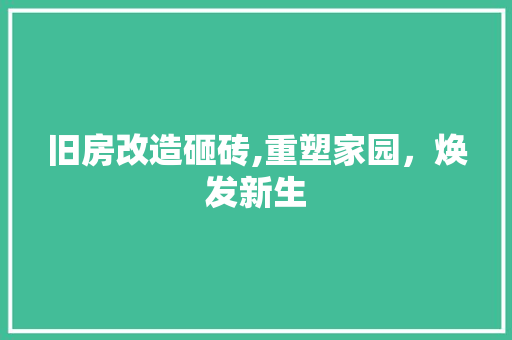 旧房改造砸砖,重塑家园，焕发新生