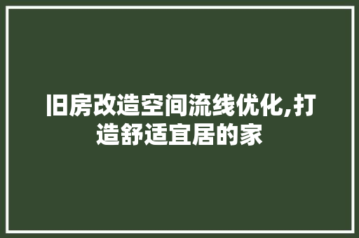 旧房改造空间流线优化,打造舒适宜居的家