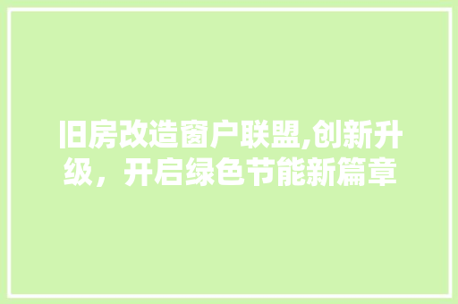 旧房改造窗户联盟,创新升级，开启绿色节能新篇章