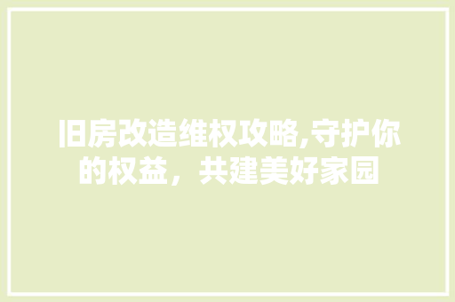 旧房改造维权攻略,守护你的权益，共建美好家园