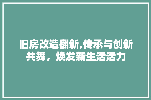 旧房改造翻新,传承与创新共舞，焕发新生活活力