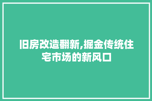 旧房改造翻新,掘金传统住宅市场的新风口 厨房维修