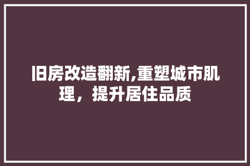 旧房改造翻新,重塑城市肌理，提升居住品质