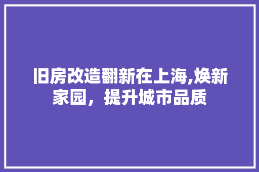 旧房改造翻新在上海,焕新家园，提升城市品质